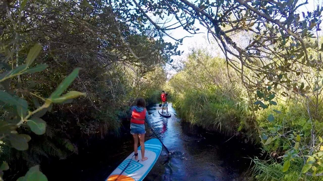 Hoya Surf Camp - Activites + *