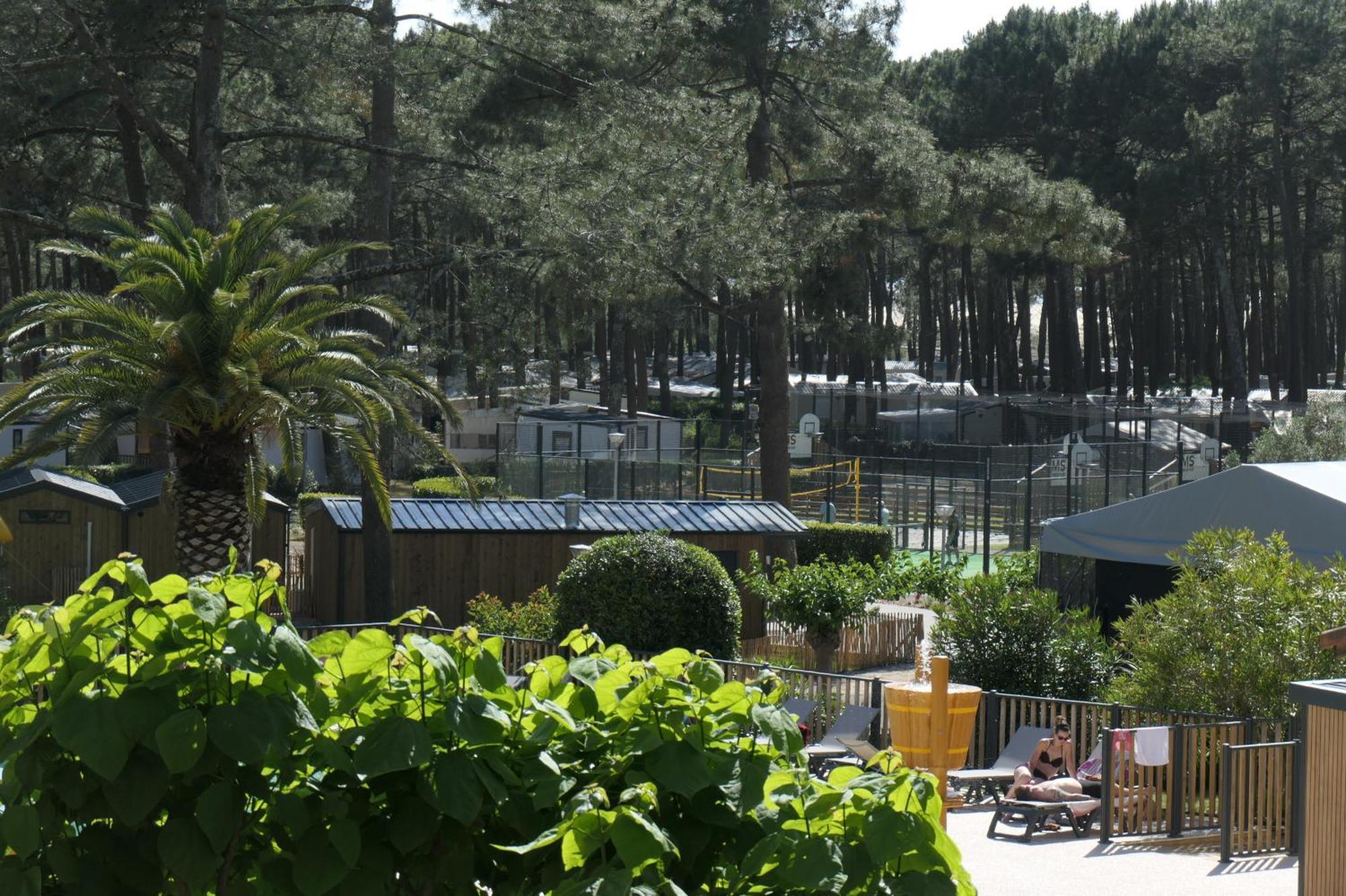 Hoya Surf Camp - Activites + *